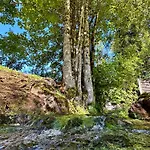 Haus Bergwelten Ramsau - Hintermuehle *