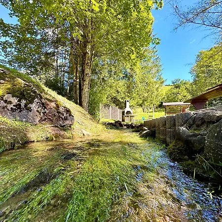 Haus Bergwelten Ramsau - Hintermuehle *