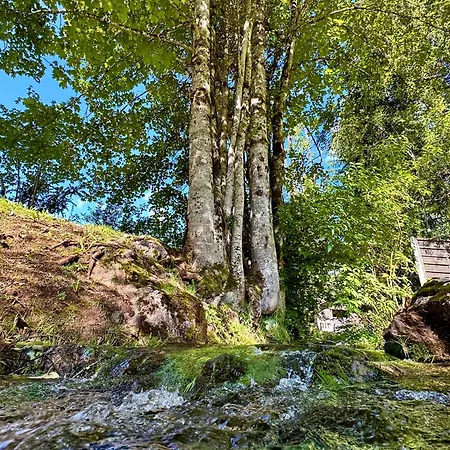 Haus Bergwelten Ramsau - Hintermuehle *